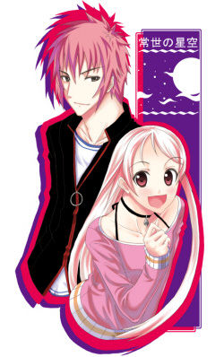 토코요의 별하늘