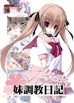 여동생 조교 일기~이런 츤데레가 나의 여동생인 것은 아니다!~