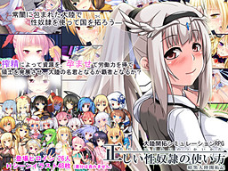 올바른 성노예 사용법 -암흑대륙개척기-