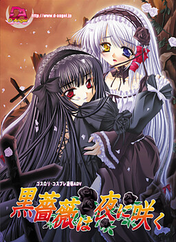 흑장미는 밤에 핀다