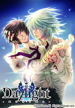 Daylight - 아침에 빛의 관을