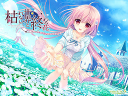 시들지 않는 세계와 끝나는 꽃