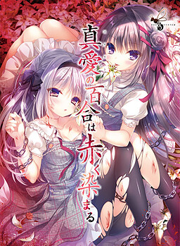 진실한 사랑의 백합은 붉게 물든다