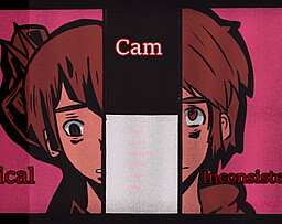 Logical Inconsistencies