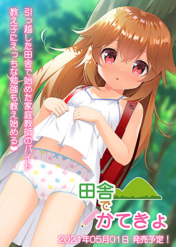 시골에서 가정교사