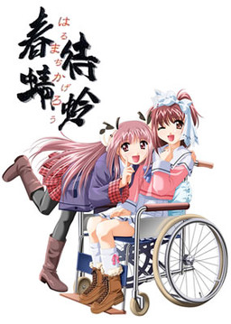 하루마치 잠자리