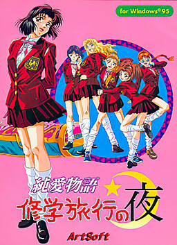 순애 이야기 수학여행의 밤