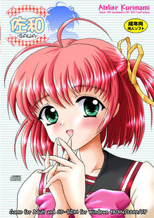 佐和 -SAWA- パッケージ版