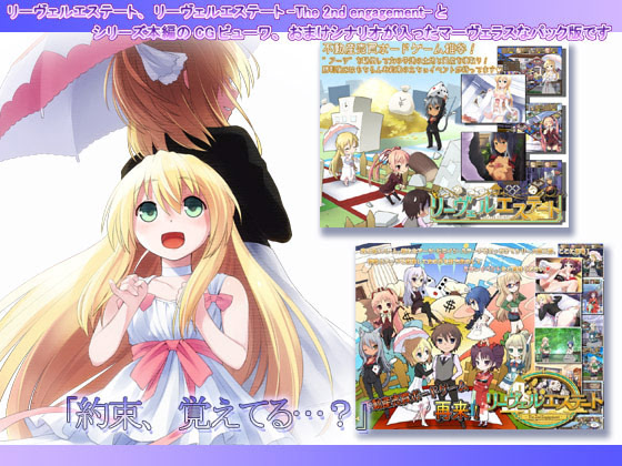 リーヴェルエステート::PPDR ダウンロード版