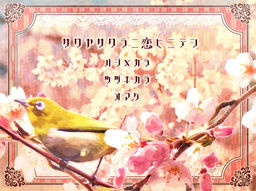 사쿠야사쿠라니 코이니테시