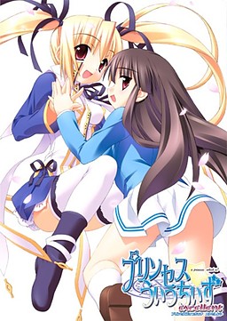 프린세스 위치즈