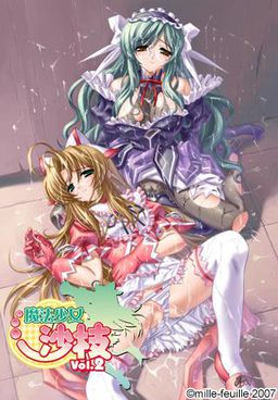 마법소녀 사에 Vol.2