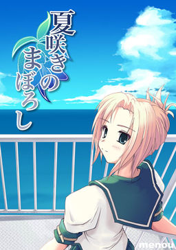 여름에 피는 환상