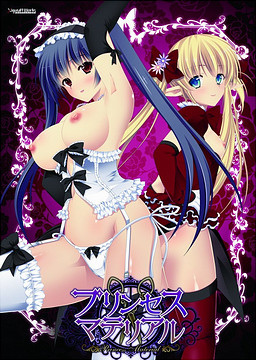 프린세스 머티리얼