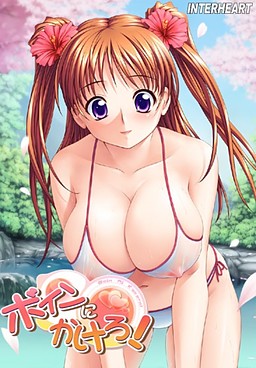 보인에 걸어라!