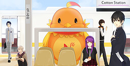 코튼 스테이션