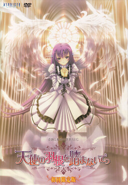 천사의 날개를 밟지 마