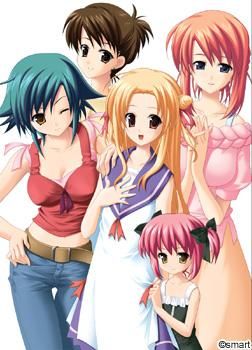 포춘 쿠키 셀렉트