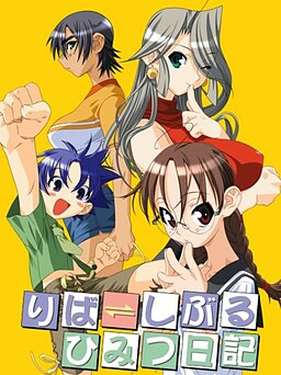 리버서블 비밀 일기