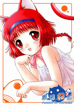 프라네코 PLANET OF THE CATS