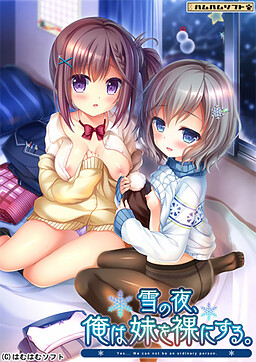 눈 내리는 밤, 나는 여동생을 알몸으로 만든다.