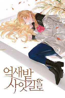 억새밭 사잇길로