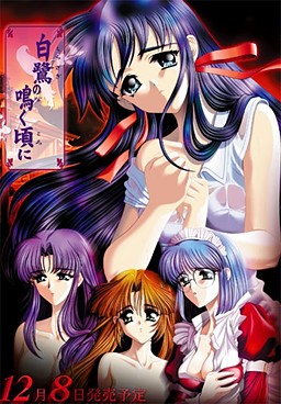 시라사기가 울 적에