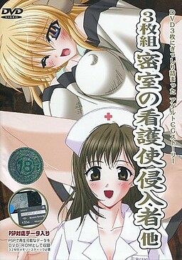 밀실의 간호사・침입자