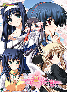 하루이로 사쿠라세