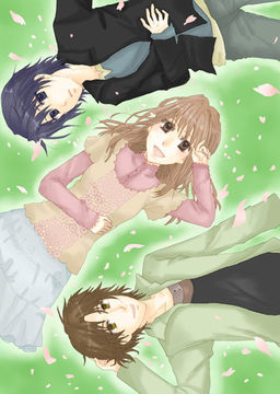 Cherry Blossom ～마지막 벚꽃이 지기 전에～