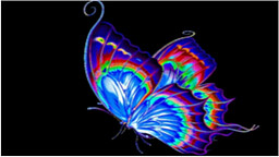 The ButterFly Effect