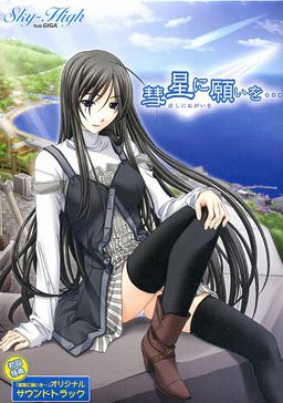 혜성에 소원을…