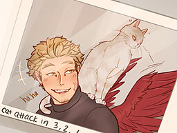 VALENTINES DAY: HAWKS