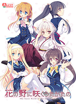 꽃들판에 피어나는 덧없음