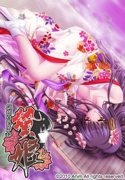 니에히메 -전국간락에마키-