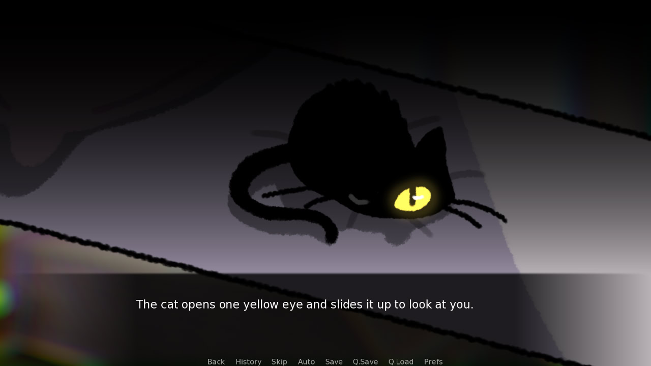 Do NOT Take This Cat Home