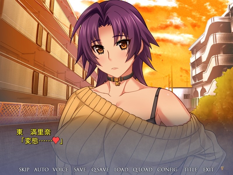 대여 아내, 마리나의 “네토라세” 보고 2 CASE. 전직 AV 남배우 & 민감한 아내