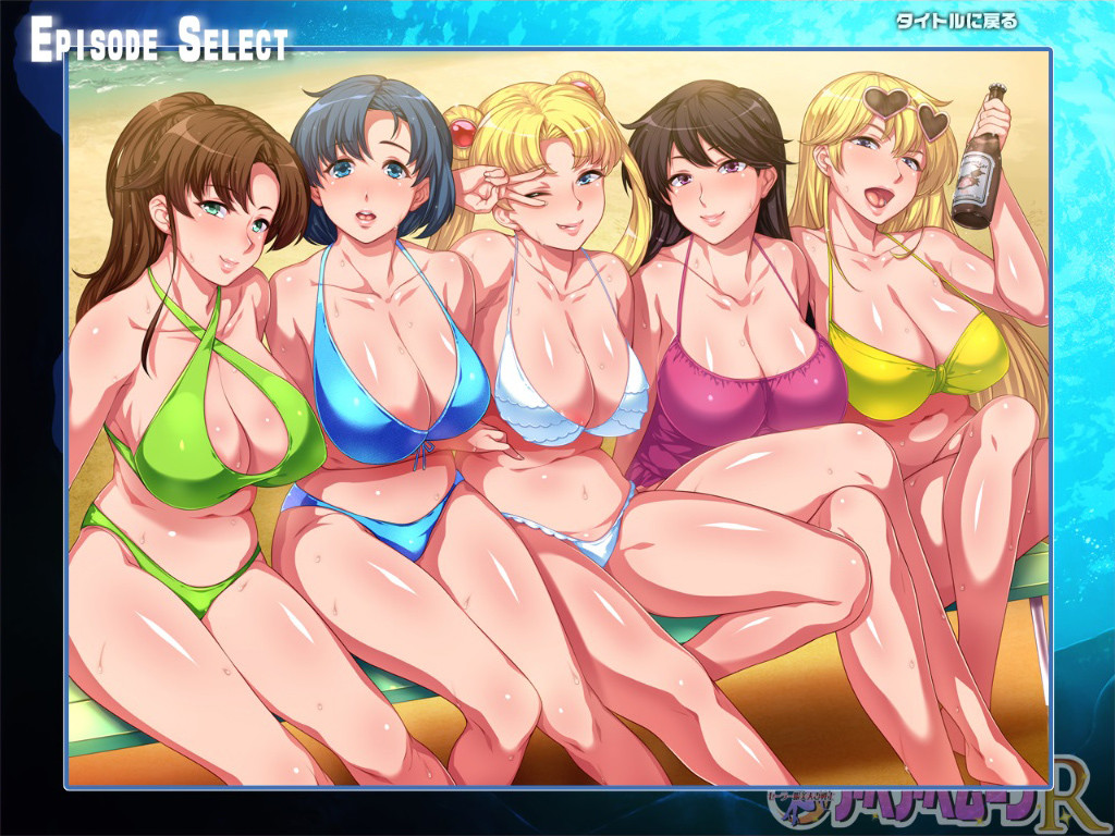 세일러복 미인 아내 전사 아헤아헤문