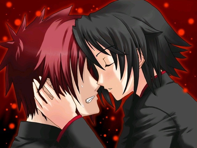 토코요의 별하늘