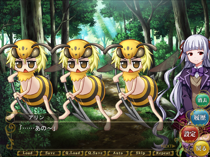 Lord of Walkure ～the adventure～