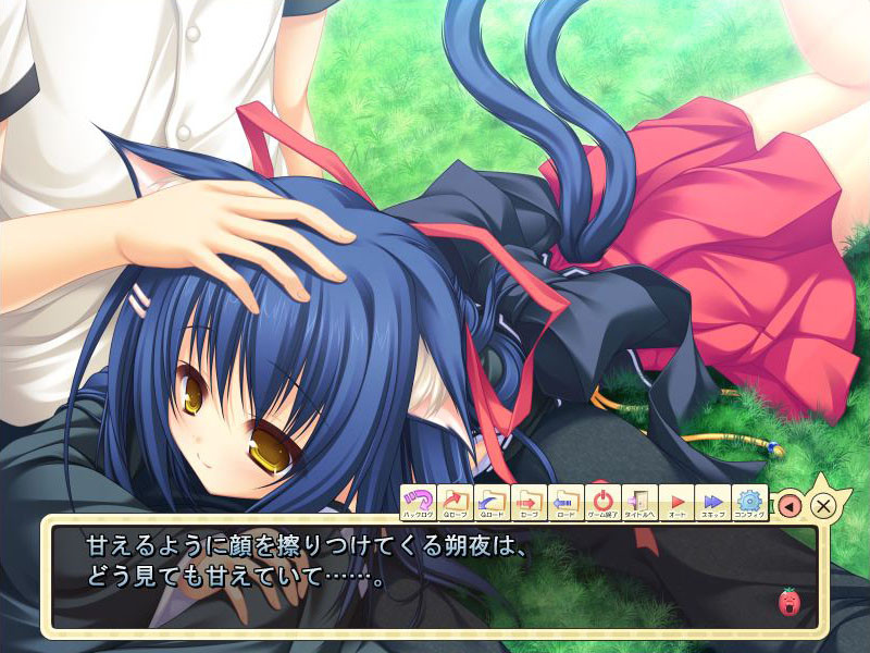 네코☆코이! ～네코가미님과 네코미미의 저주～