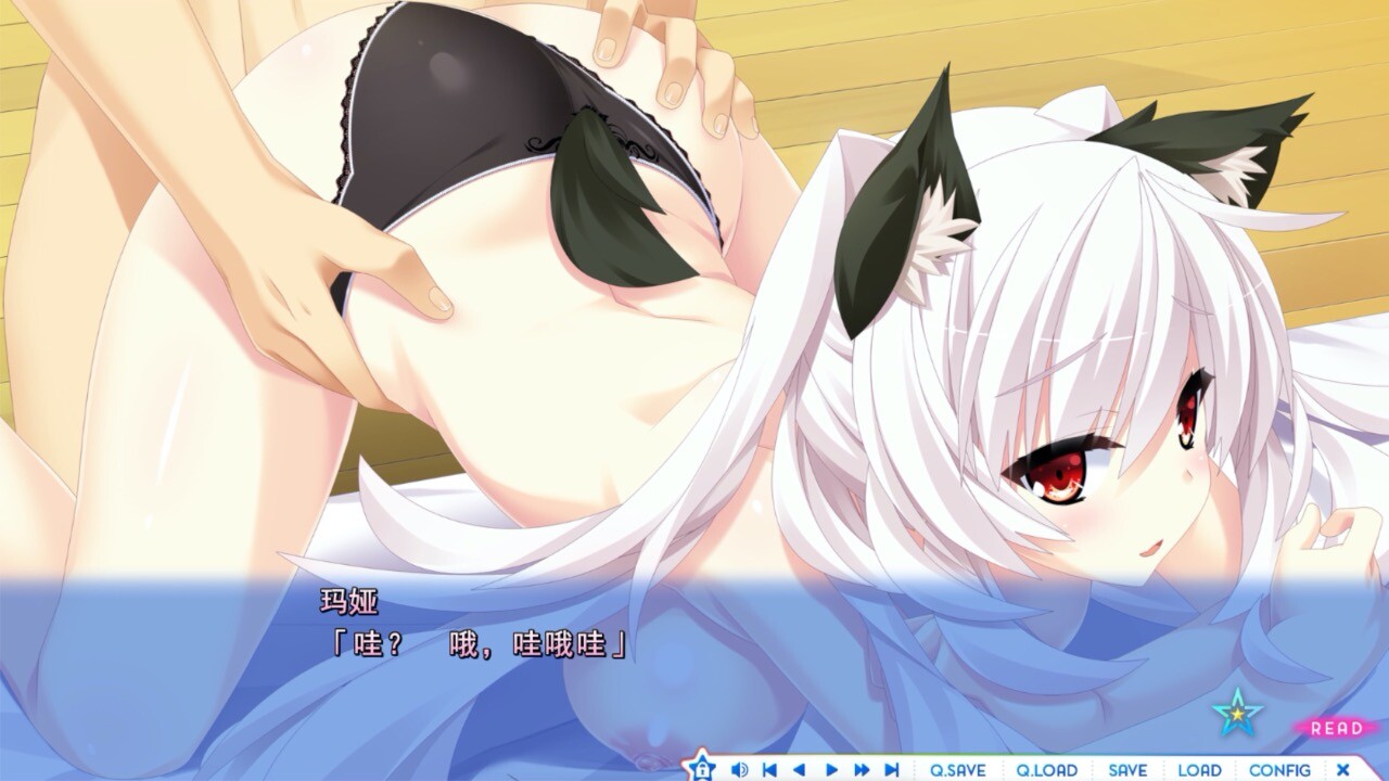 슈쿠세이의 걸프렌드 2 -the destiny star of girlfriend-