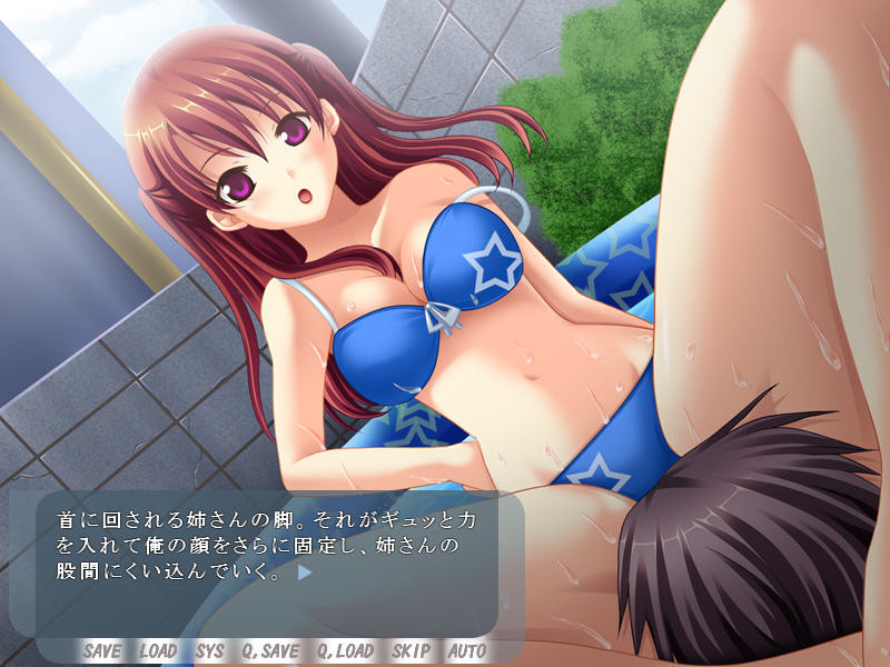 네에・아네 파라다이스 ～나와 누나의 달콤달콤한 생활～