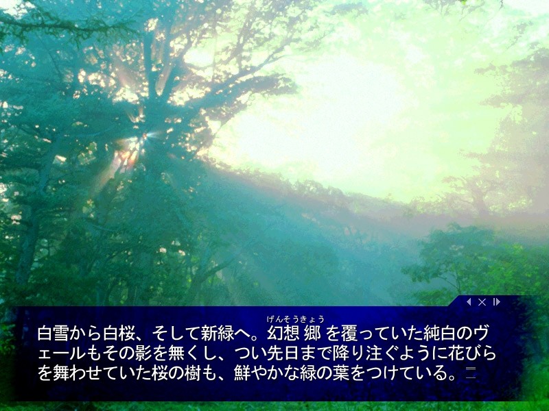 THE 동방탈의화투