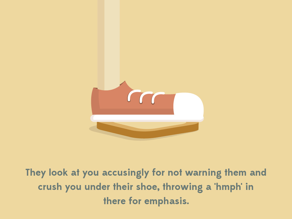 A Day in the Life of a Slice of Bread