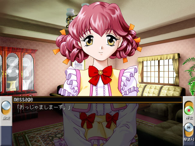 마이 토이～아가씨의 조교일지～