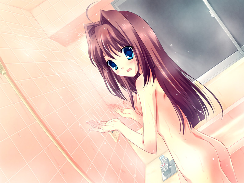 D.C.II To You ～다・카포II～ 투 유 사이드 에피소드