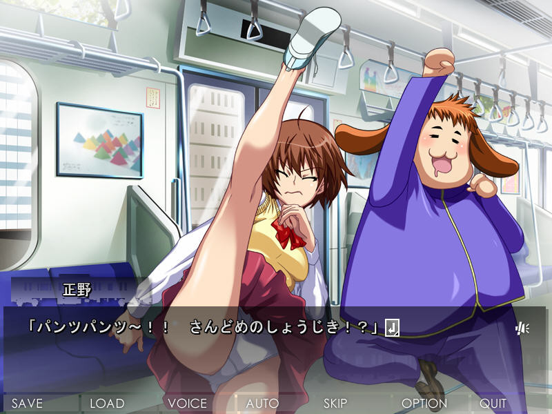 치칸의 라이센스