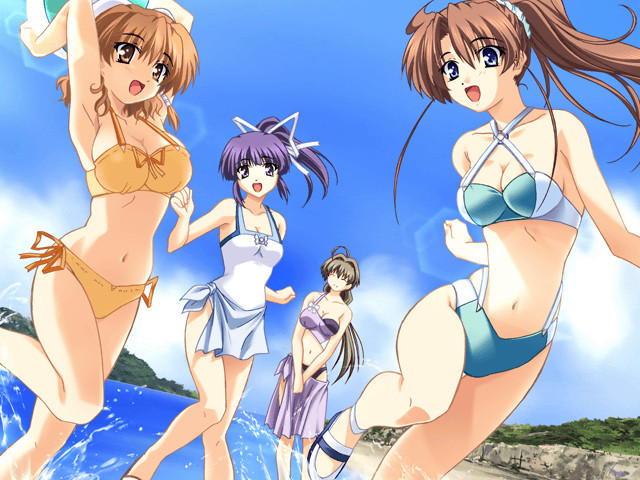 도키도키 시스터 파라다이스