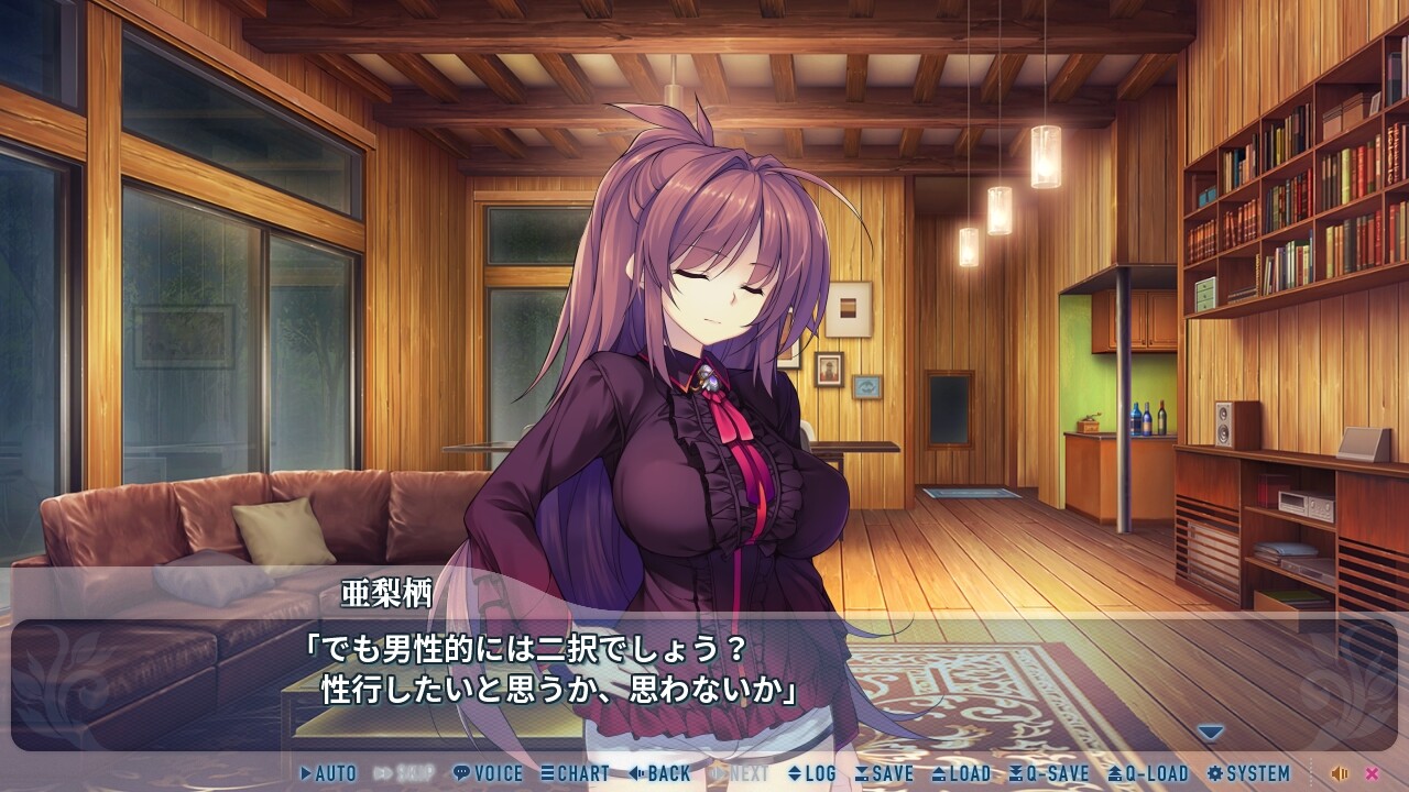 야미와 축제의 생츄어리